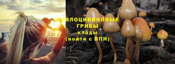 стафф Балабаново